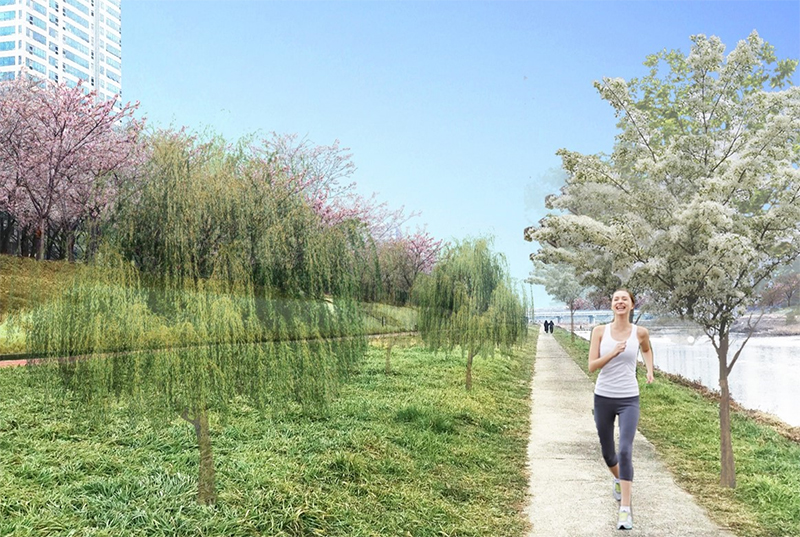 urban-wind-path-forests-1