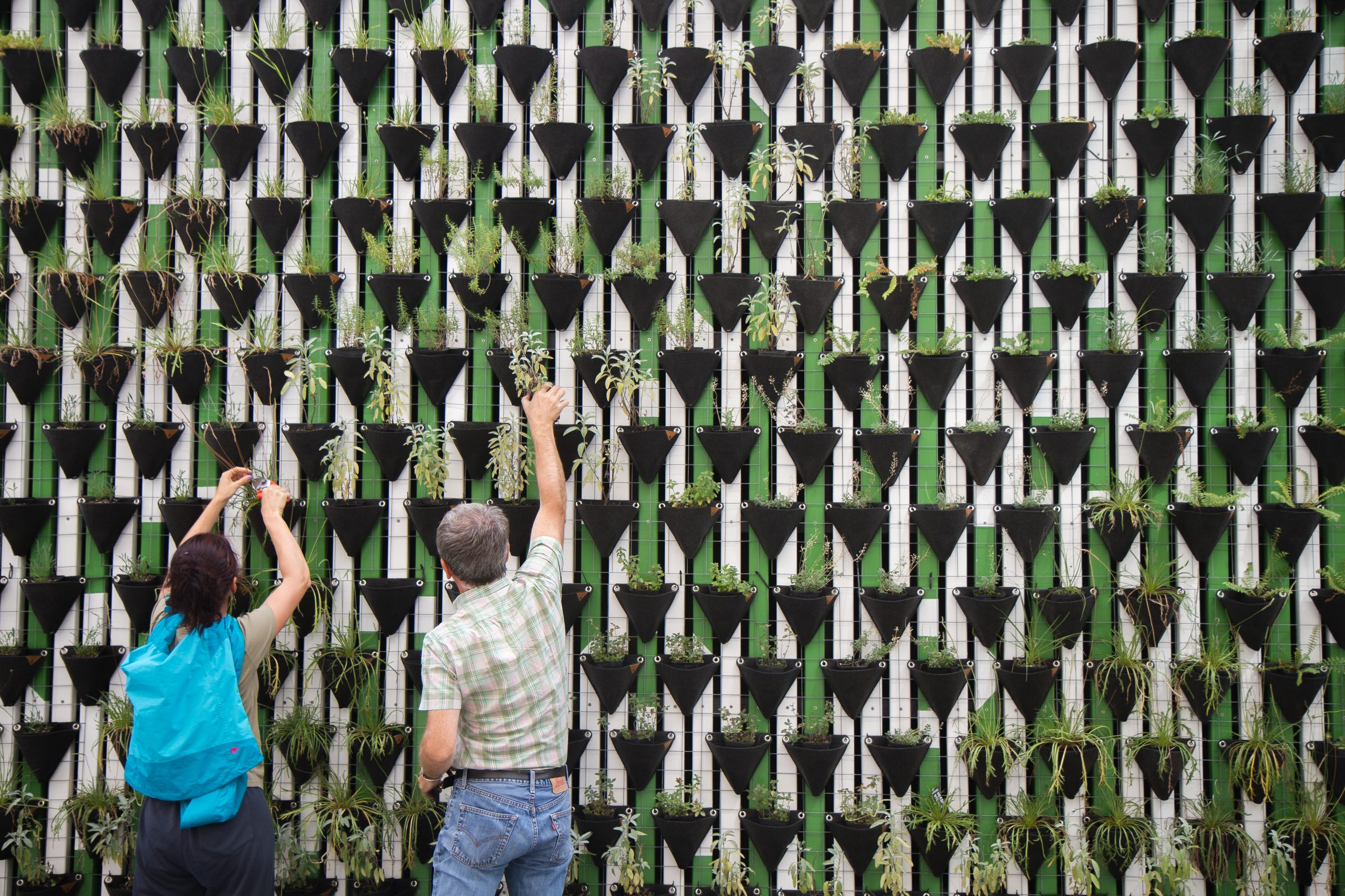 Green buildings daniel-funes-fuentes-TyLw3IQALMs-unsplash