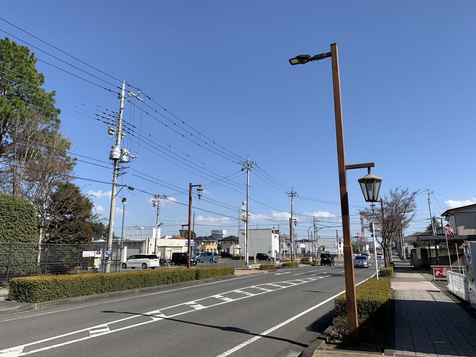 Nasushiobara city-Minebeamitsumi streetlights